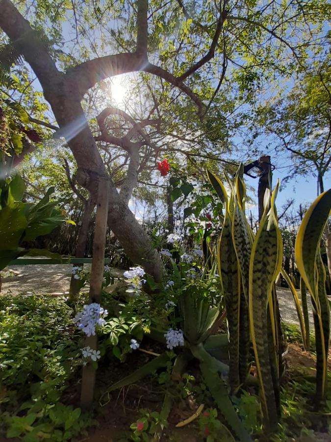 Pousada Casa Da Gente Caruaru Eksteriør bilde
